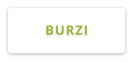 BURZI